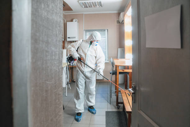 Reliable Delevan, NY Mold Removal Solutions