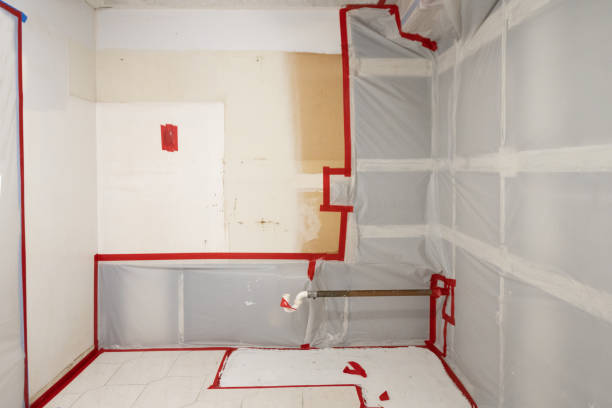 Best Airborne Mold Testing  in Delevan, NY