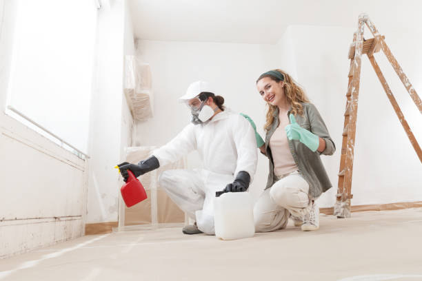 Best Mold Prevention Services  in Delevan, NY