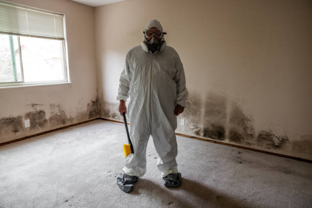 Best Emergency Mold Remediation  in Delevan, NY